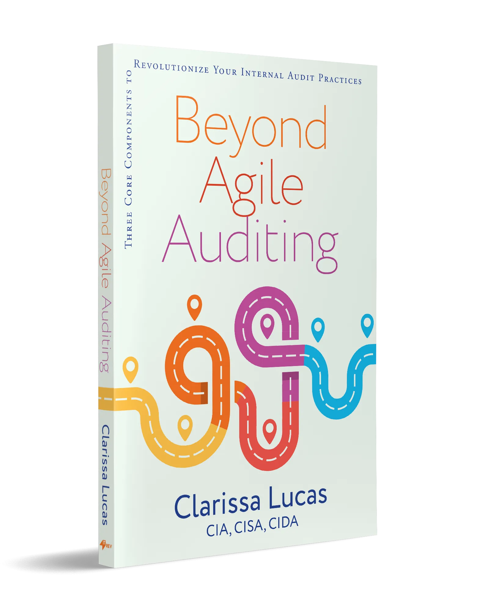 Why Beyond Agile Auditing?